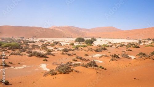 Dunes and blue sky in Deadvlei  Sossusvlei. Namib-Naukluft National Park  Namibia.