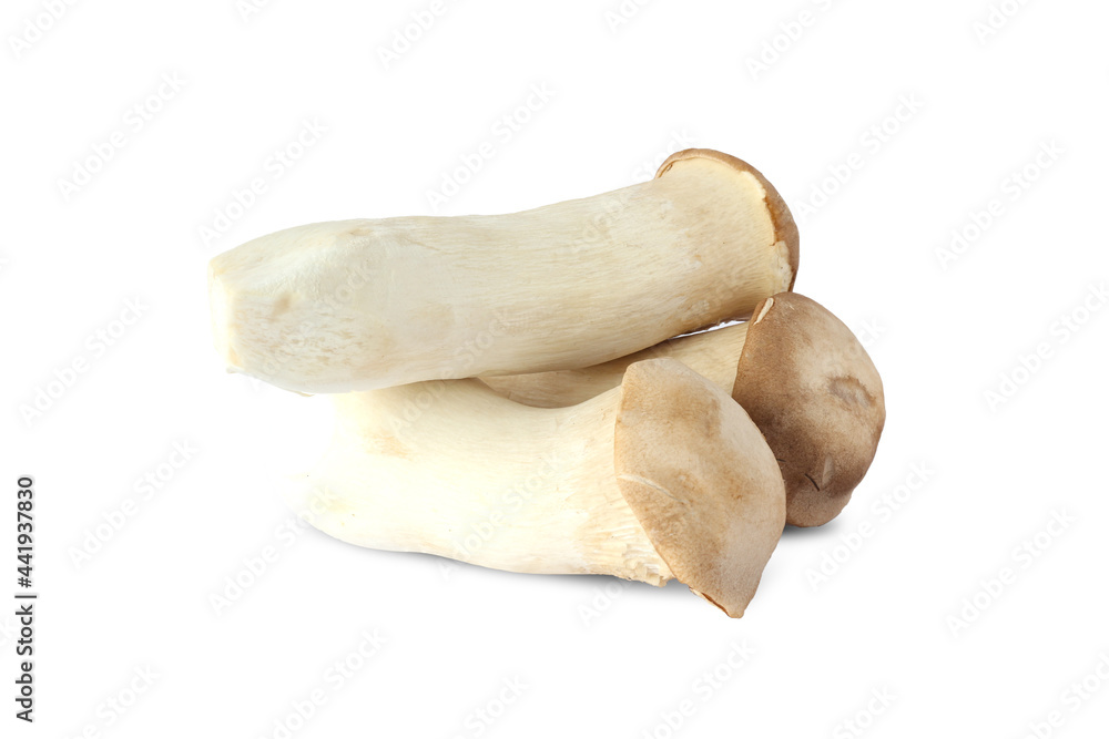 King Oyster mushroom on white background. King Oyster mushroom on white background.