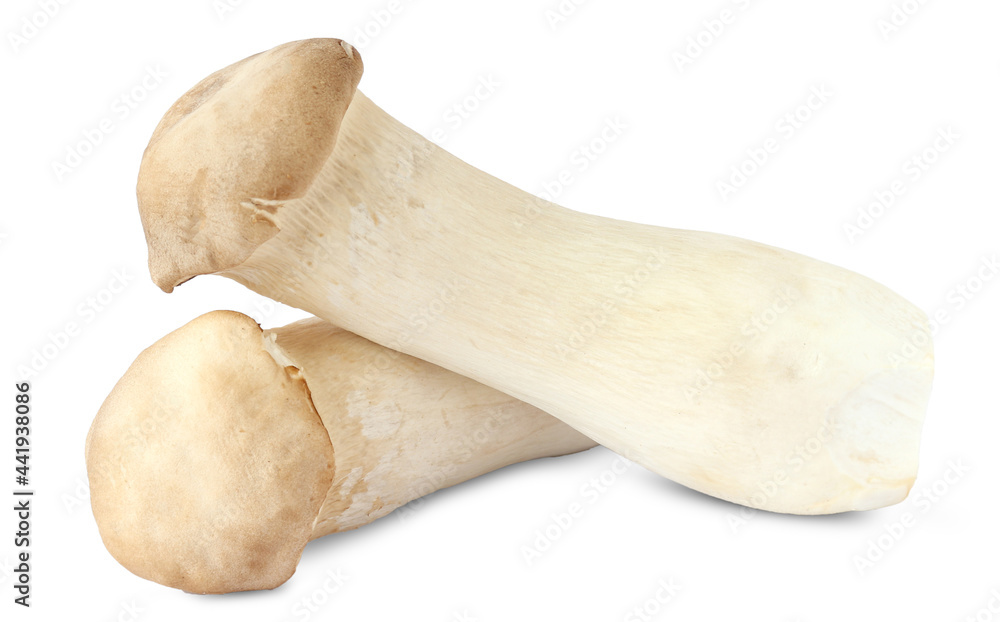 King Oyster mushroom on white background. King Oyster mushroom on white background.