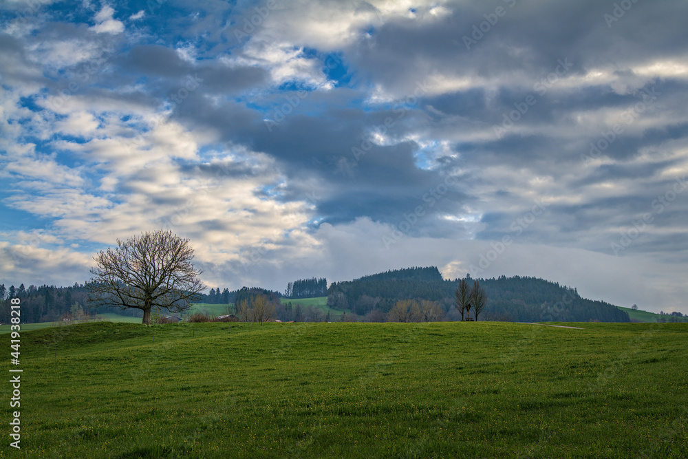 Allgäuer Landschaft am frühen Morgen Allgäuer Landschaft am frühen Morgen