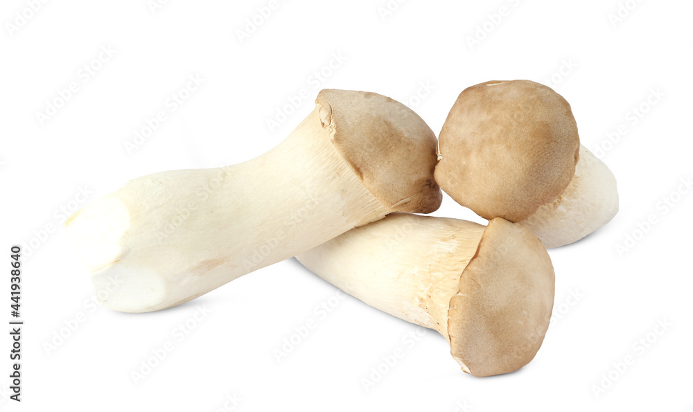 King Oyster mushroom on white background. King Oyster mushroom on white background.