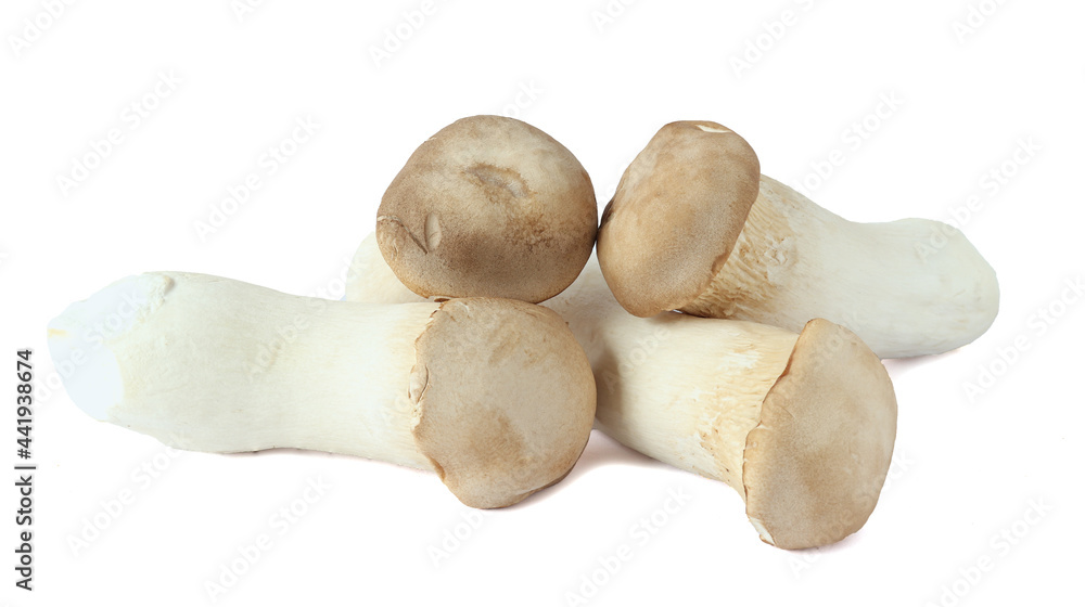 King Oyster mushroom on white background. King Oyster mushroom on white background.