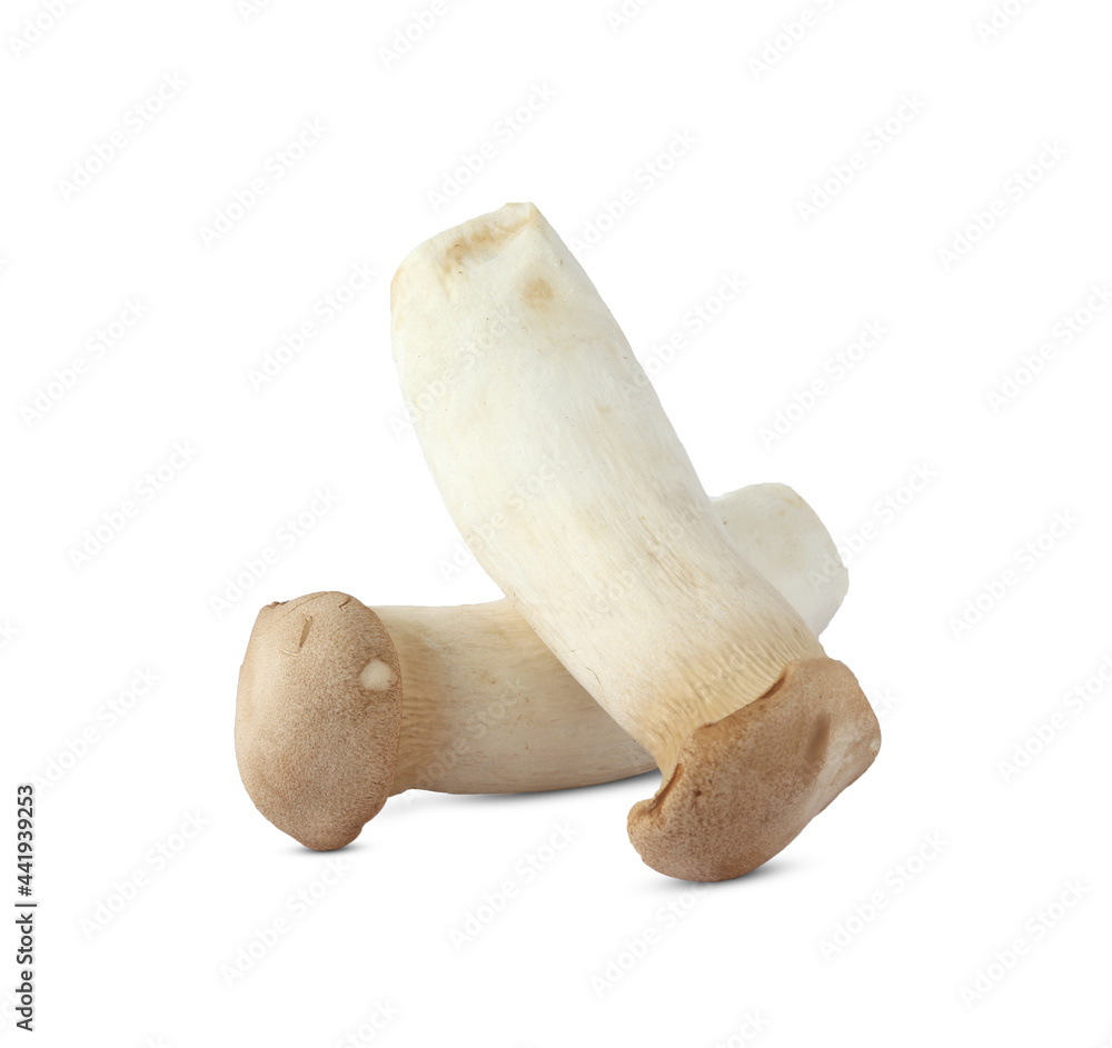 King Oyster mushroom on white background. King Oyster mushroom on white background.