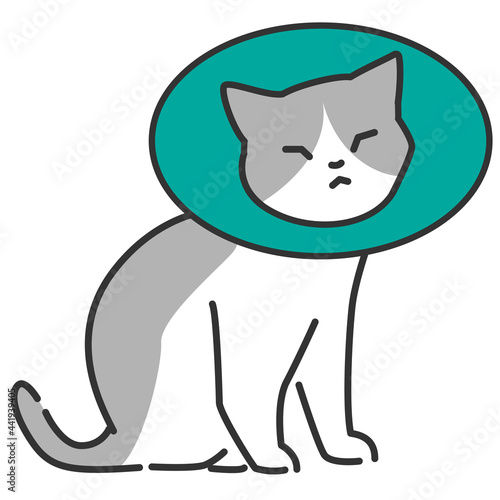 傷を舐めないようにカラーをつけている猫