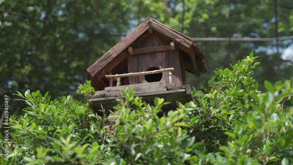 parrot hut cage habitat in aviary.happy bird playing in house on tree in Zoo. parrot living in wooden bird cage. parrot hut cage habitat in aviary.happy bird playing in house on tree in Zoo. parrot living in wooden bird cage.