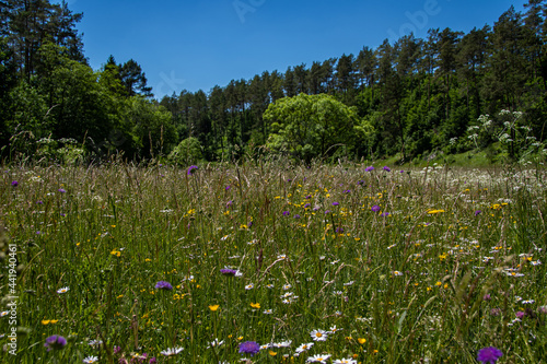 Beautiful spring landscape in the Lampert Valley near Blankenheim photo