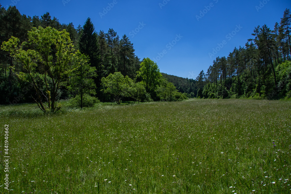 Wonderful landscape in the Lampert valley in Blankenheim