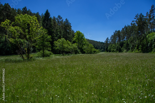 Obraz na płótnie Wonderful landscape in the Lampert valley in Blankenheim w salonie