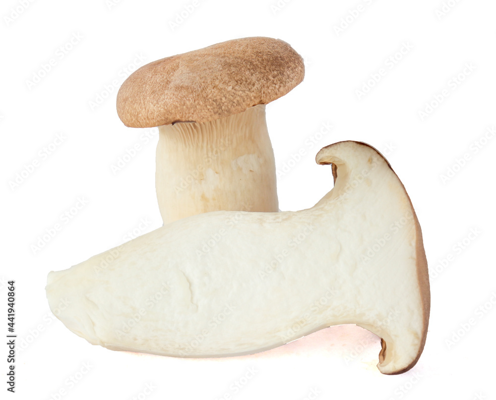 King Oyster mushroom on white background. King Oyster mushroom on white background.