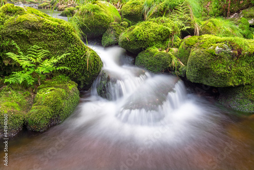 Malerischer kleiner Wasserfall im Nordschwarzwald