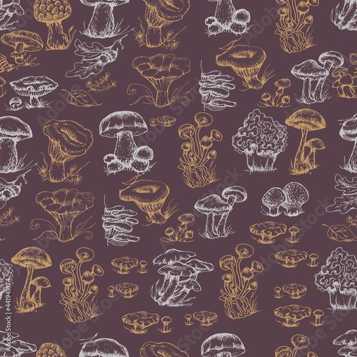 mushrooms vector graphics hand drawn. Print textile illustration background set patern seamless, coloring engraving vintage retro collection forest nature food