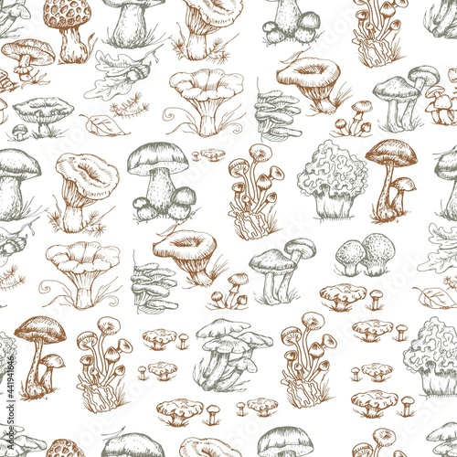 mushrooms vector graphics hand drawn. Print textile illustration background set patern seamless, coloring engraving vintage retro collection forest nature food