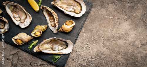 Set of oysters and snails on black platter photo