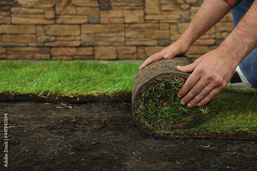 Young man laying grass sod on ground at backyard, closeup. Space for text photo