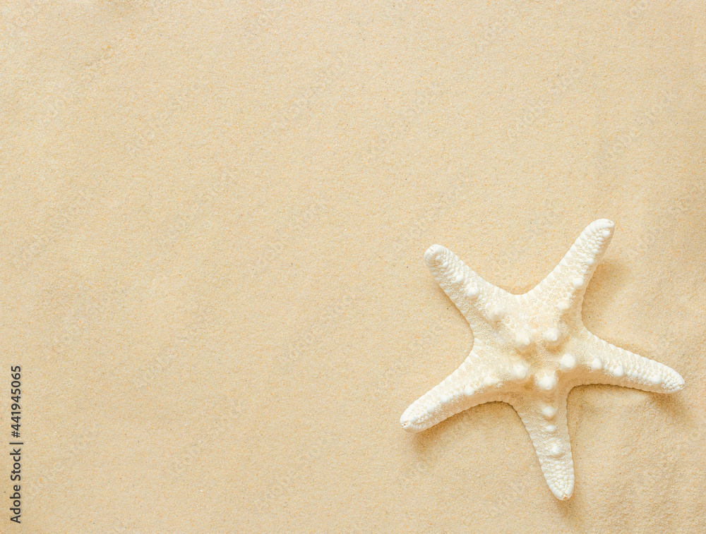 one starfish on the beach sand with a large copy space one starfish on the beach sand with a large copy space