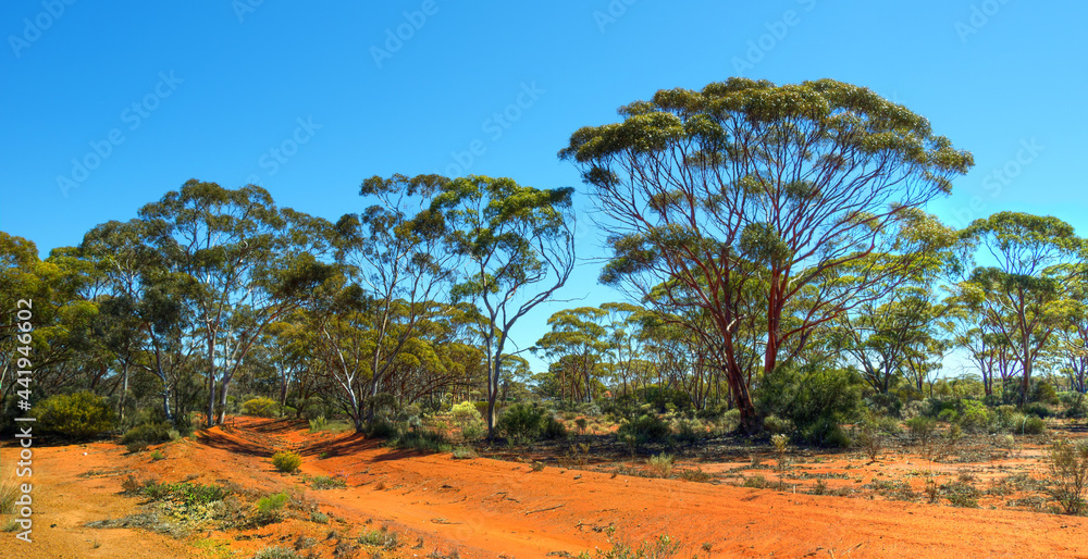 Kalgoorlie is in the Goldfields region of Western Australia