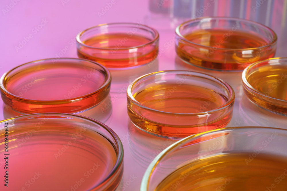 Petri dishes with red liquid on table, closeup Petri dishes with red liquid on table, closeup