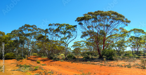 Obraz na płótnie Kalgoorlie is in the Goldfields region of Western Australia w salonie