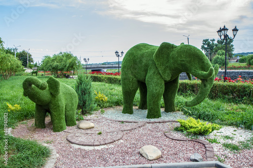 The figures of the topiary in the form of an elephant and a baby elephant. photo