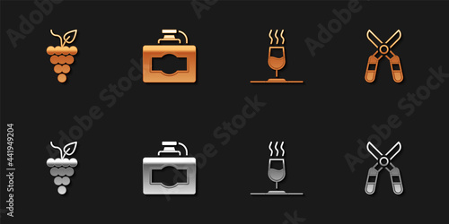 Set Bunch of grapes, Cardboard box wine, Wine tasting, degustation and Gardening scissors icon. Vector
