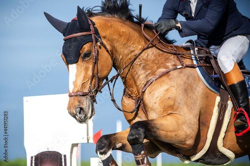Equestrian Sports photo themed: Horse jumping, Show Jumping, Horse riding competition © Pratiwi