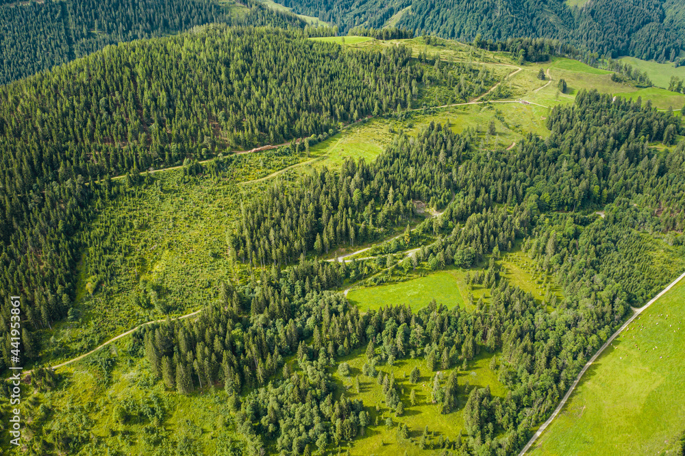 Alps aerial landscape