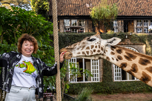 Photography feeding giraffes from the hands of those who came from the forest