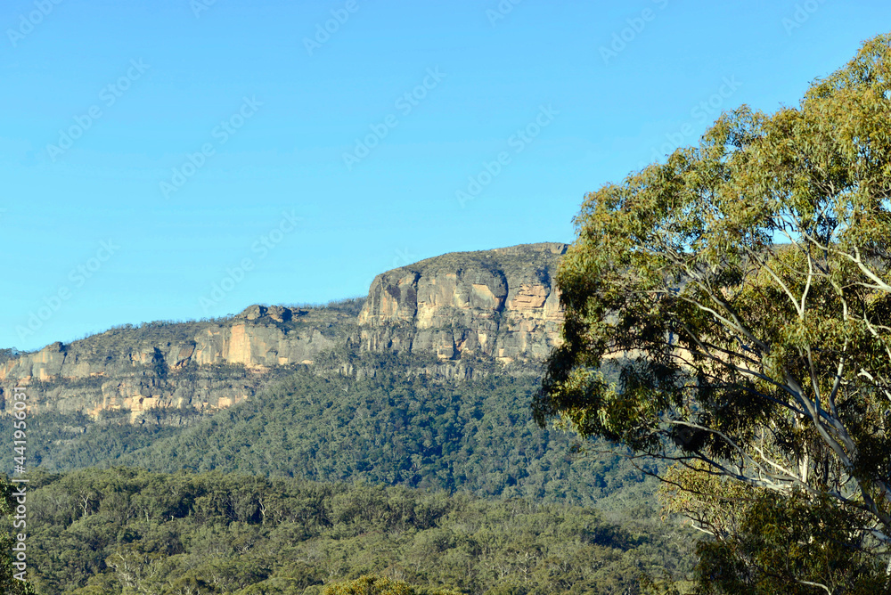 A view in Megalong Valley in the Blue Mountains of Australia