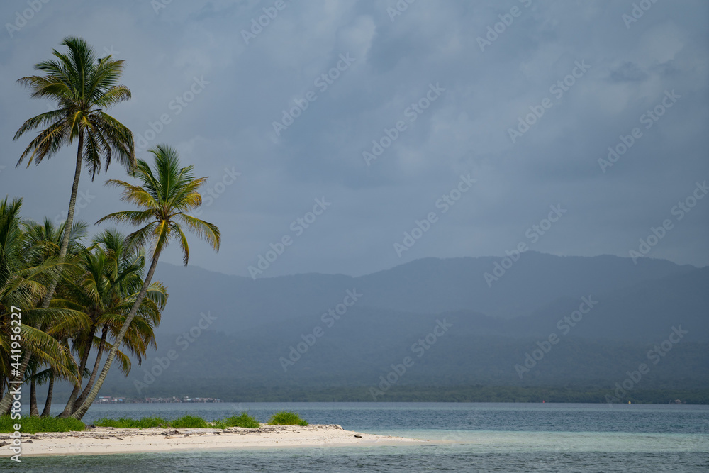 Tiny tropical, uninhabited island with palm trees and white sand beach in cloudy weather with copy space. Vacation and travel concept 