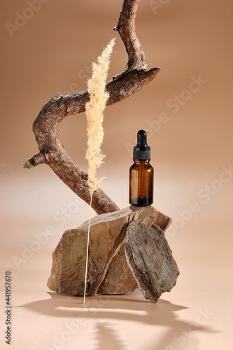 bottle with micellar water, essence of natural oil, serum serum for the face. Brown glass bottle with pipette on sandstone stone and a beautiful branch of pine
