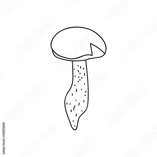 Single hand drawn mushroom for autumn decoration. Doodle vector illustration. Isolated on a white background.