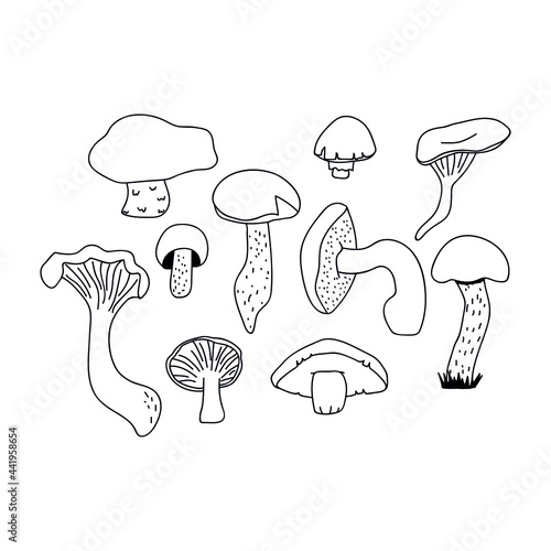 Hand drawn mushrooms set for autumn decoration. Doodle vector illustration. Isolated on a white background.