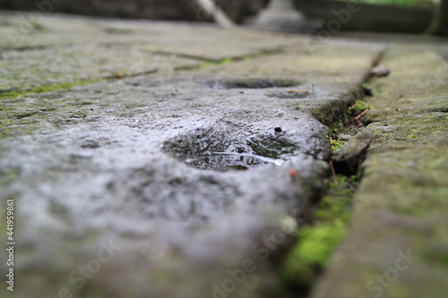 神社境内にある石畳にできた水たまりのクローズアップ