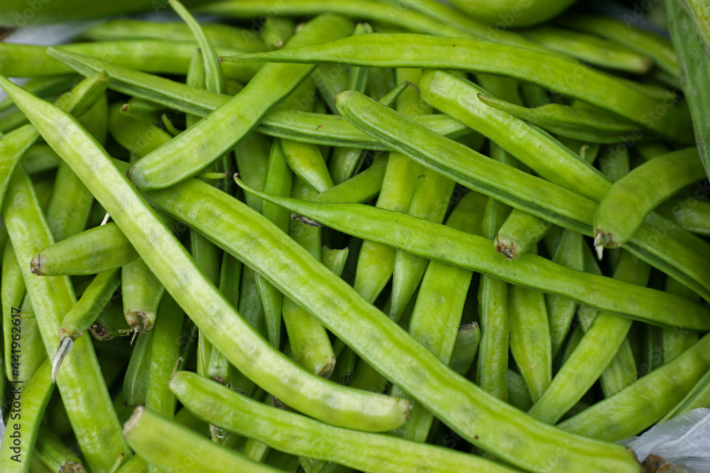 Fresh green Organic vegetable Cluster Beans Fresh green Organic vegetable Cluster Beans