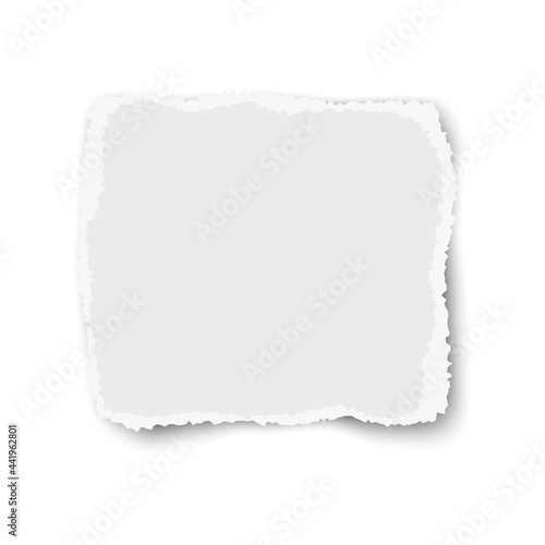Ripped vector paper tear isolated on white background. Template paper design.