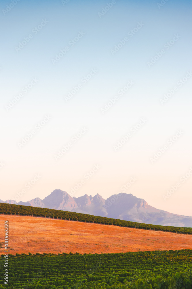 Outdoor views in South Africa