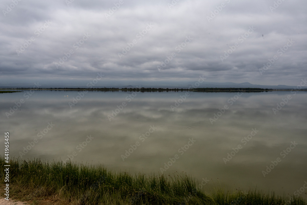 endless lake with green water and clouds reflected in it 