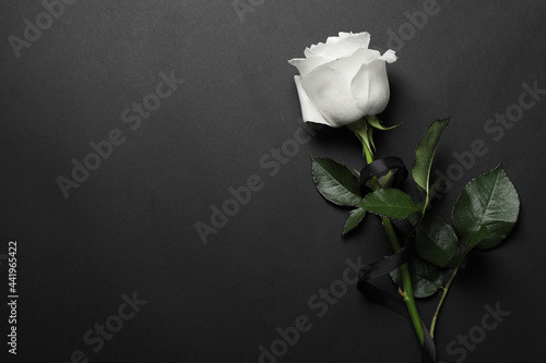Beautiful white rose with black ribbon on dark background, top view. Space for text photo