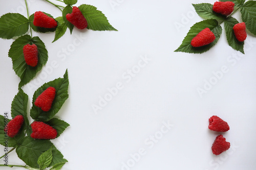 sprigs of raspberries, ripe raspberries on a white background and space for text