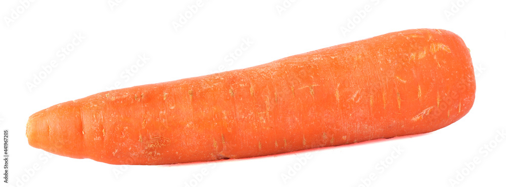 Fresh Carrots with sliced isolated on white background. Fresh Carrots with sliced isolated on white background.