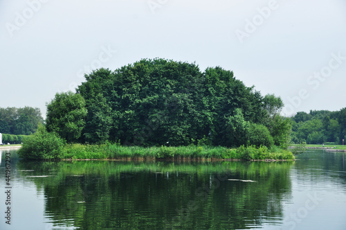 An island with green trees in the middle of a pond. Panoramic view of the city pond in the park.