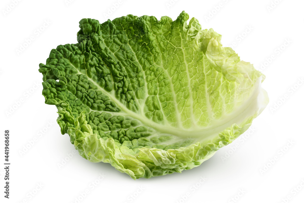 Savoy cabbage leaf isolated on white background with clipping path and full depth of field Savoy cabbage leaf isolated on white background with clipping path and full depth of field