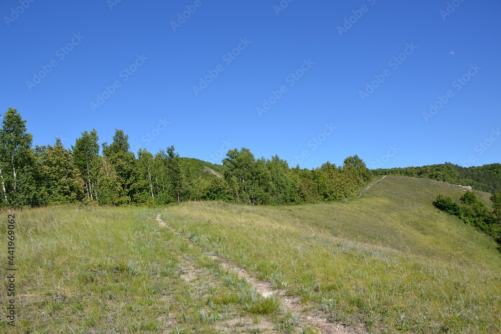 Hiking trail on Bald Mountain in the national park Hiking trail on Bald Mountain in the national park