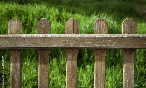 Wooden fence in a garden