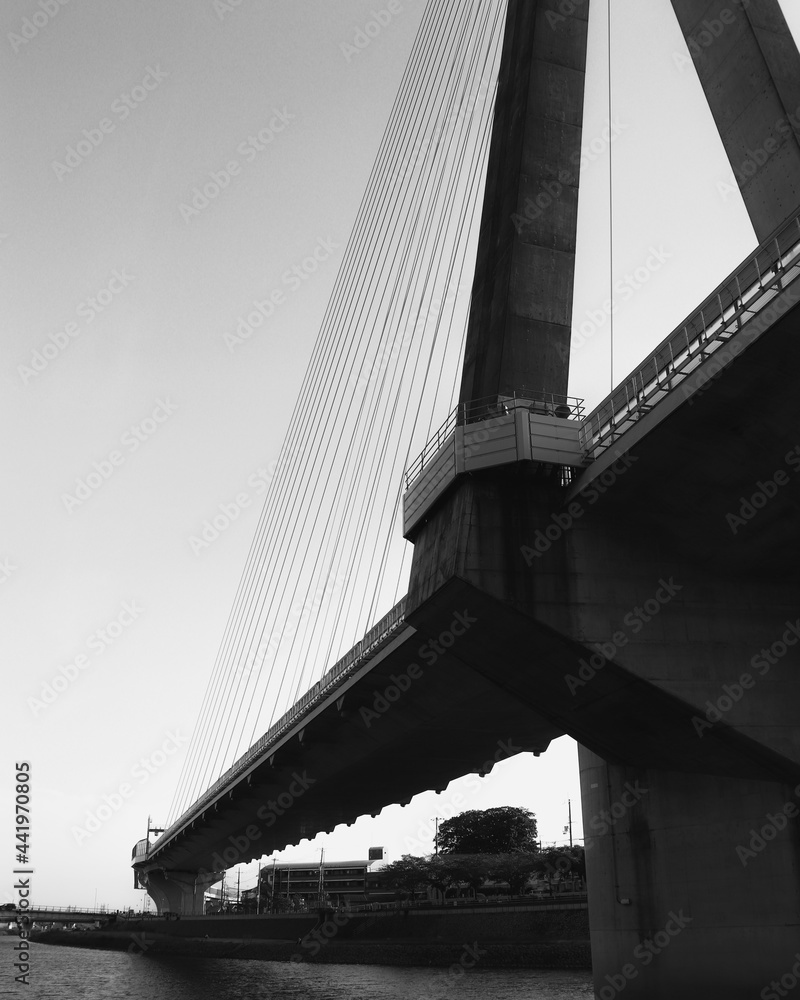 Fototapeta premium the city bridge