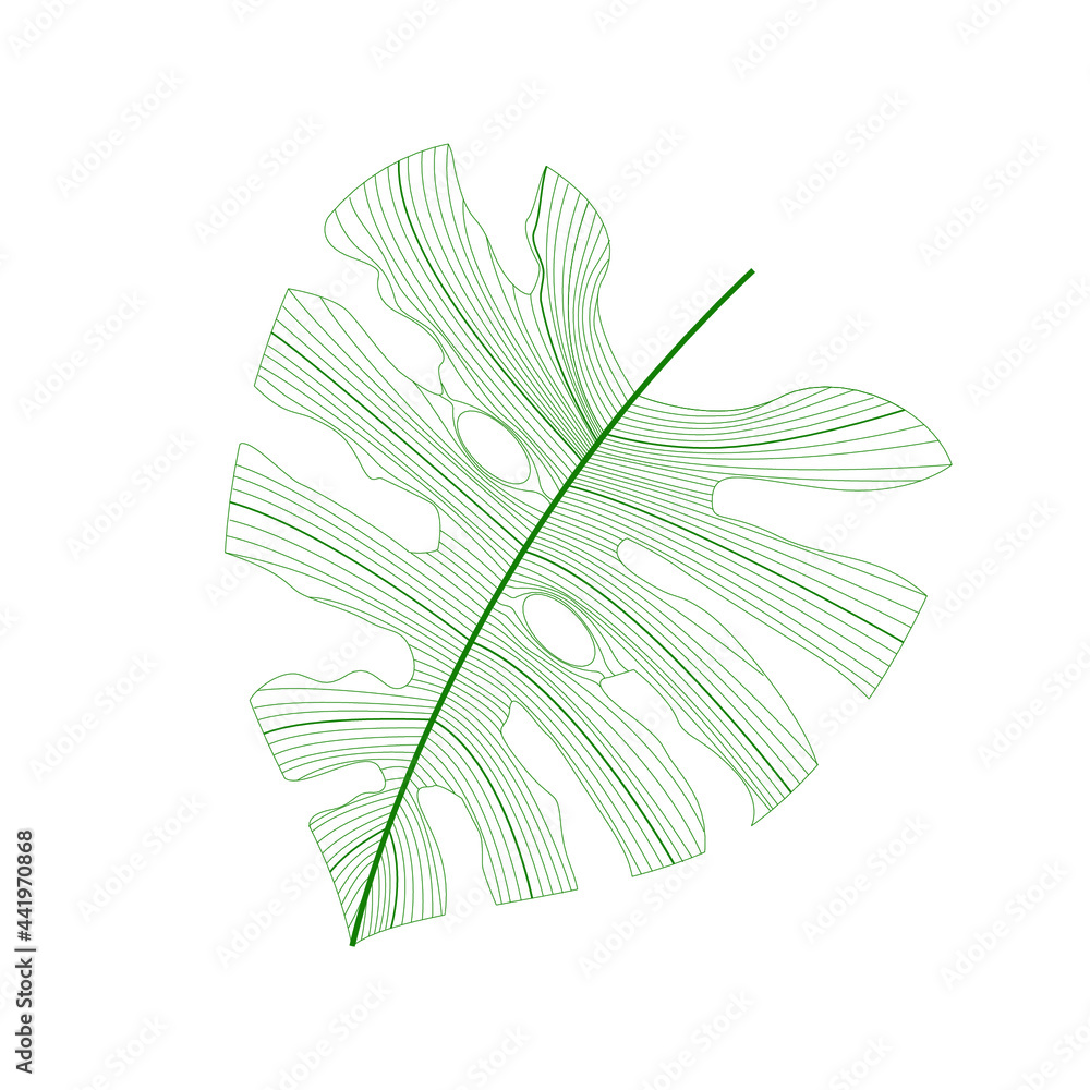 Obraz premium Leaf Vector. Tropical leaves . green logo with lines