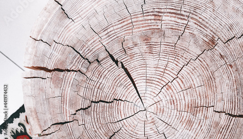 Log wood texture stylish minimal wallpaper. Bio eco background