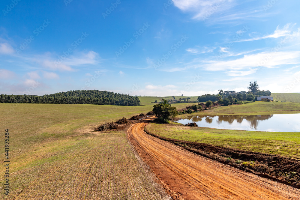 Farm road and plantation field with lake and forest around