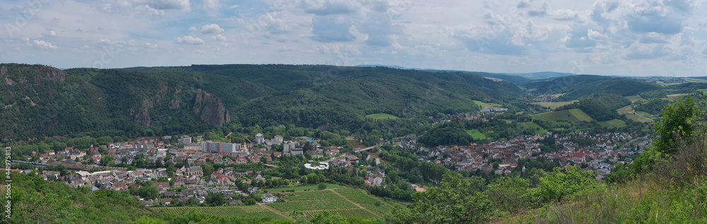 Rüdesheim from above