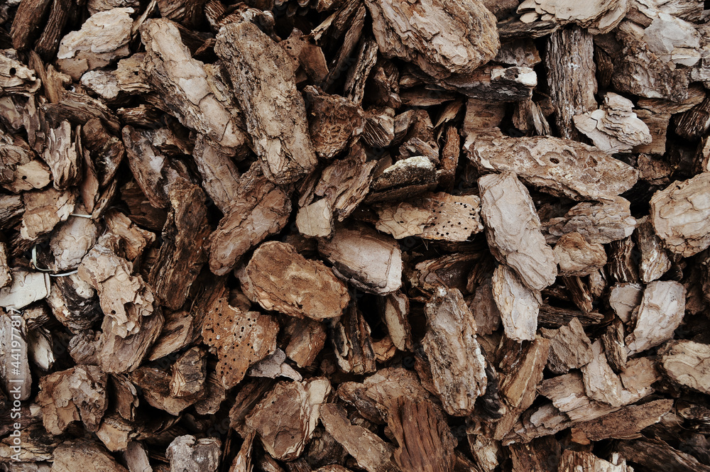 Wooden pieces. Firewood. Abstract wooden background.